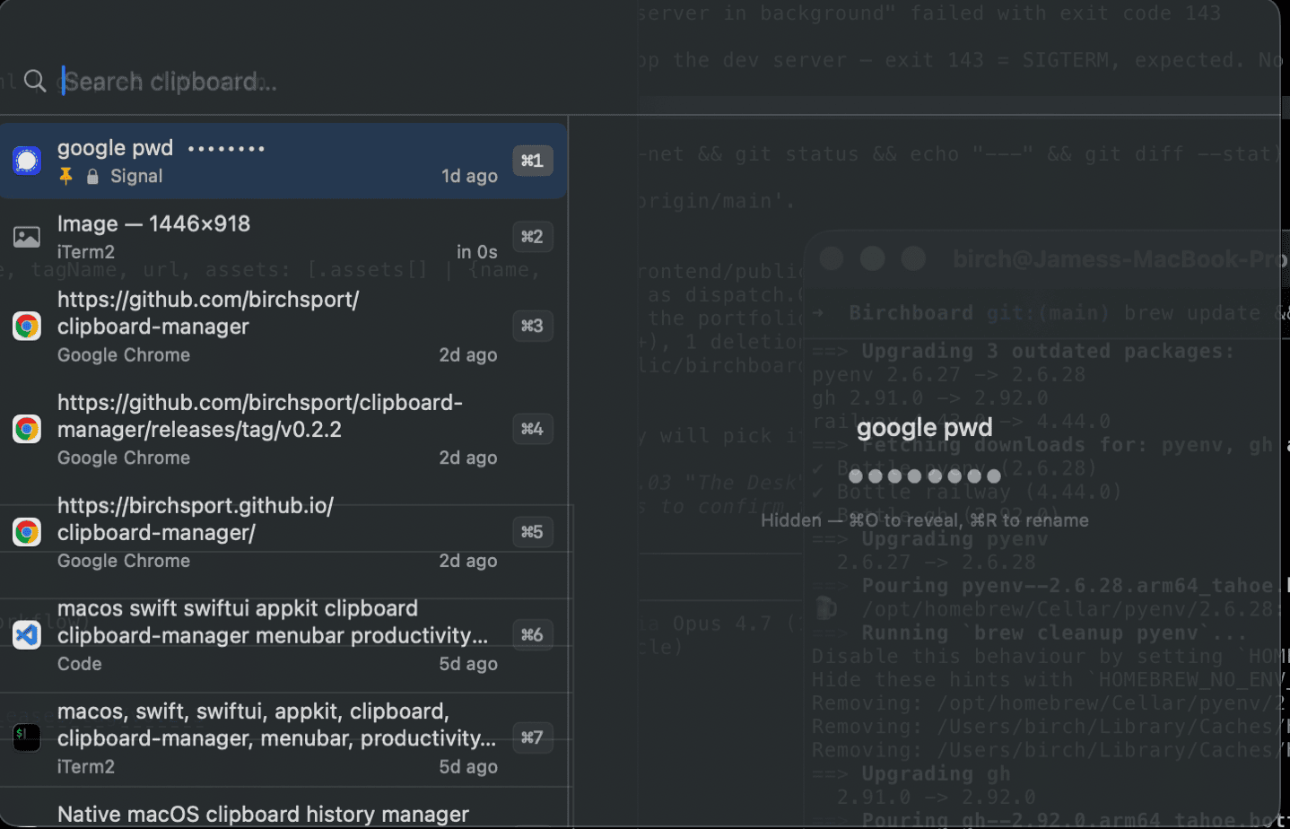 Birchboard panel showing a searchable clipboard history with syntax-highlighted code entries and a right-hand preview pane.